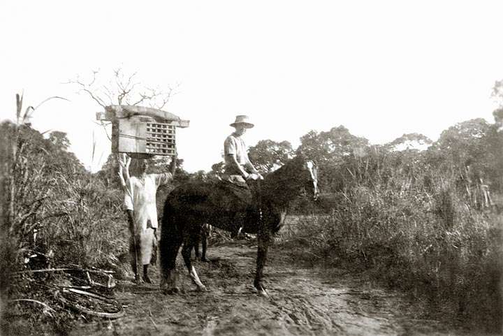 88hopeontrek1931